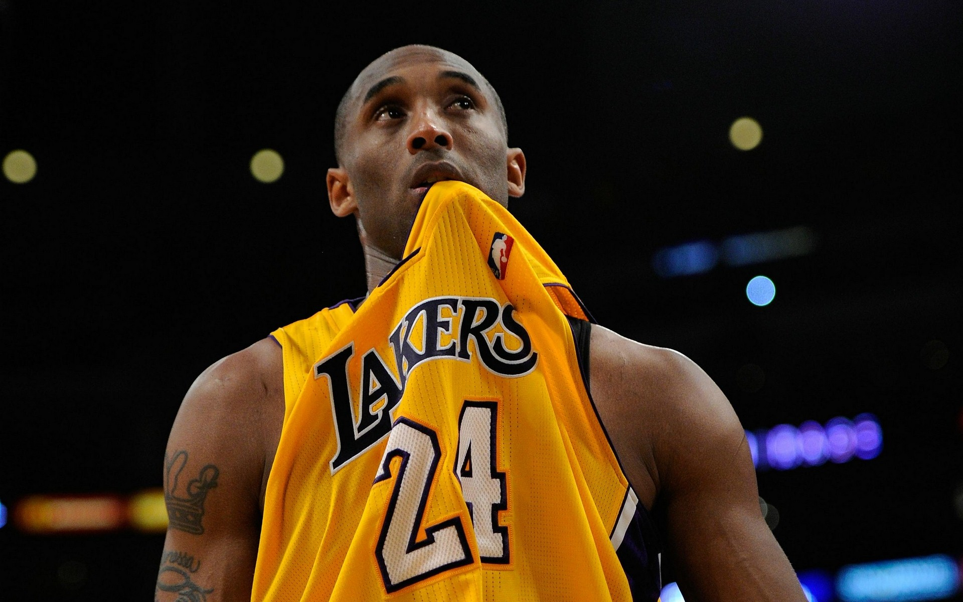 与交叉火力 与交叉火力